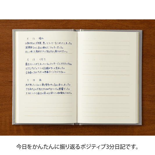 3 MINUTE DIARY Gray
