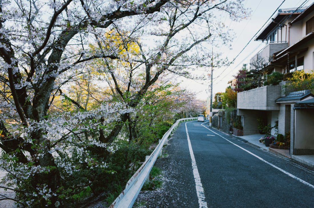 National Poetry Month: 10 Haiku Prompts for Quiet Thinkers