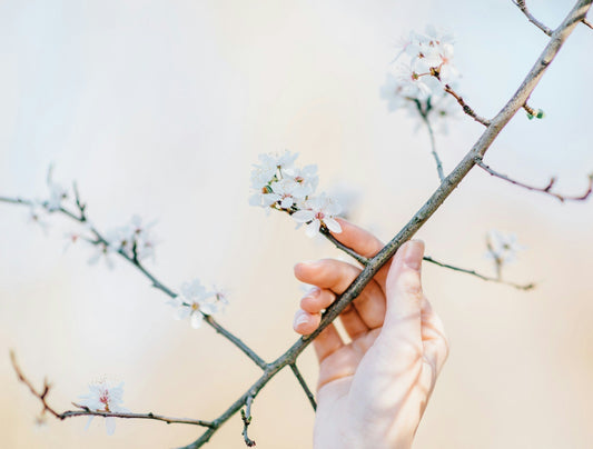 Stress Awareness Month: A Calm Desk Setup for Slower, Better Thinking