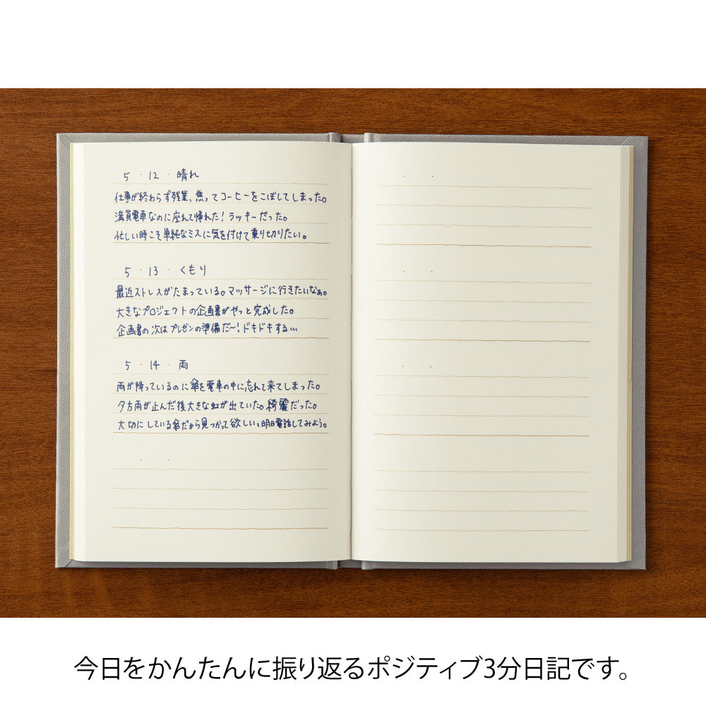 3 MINUTE DIARY Gray