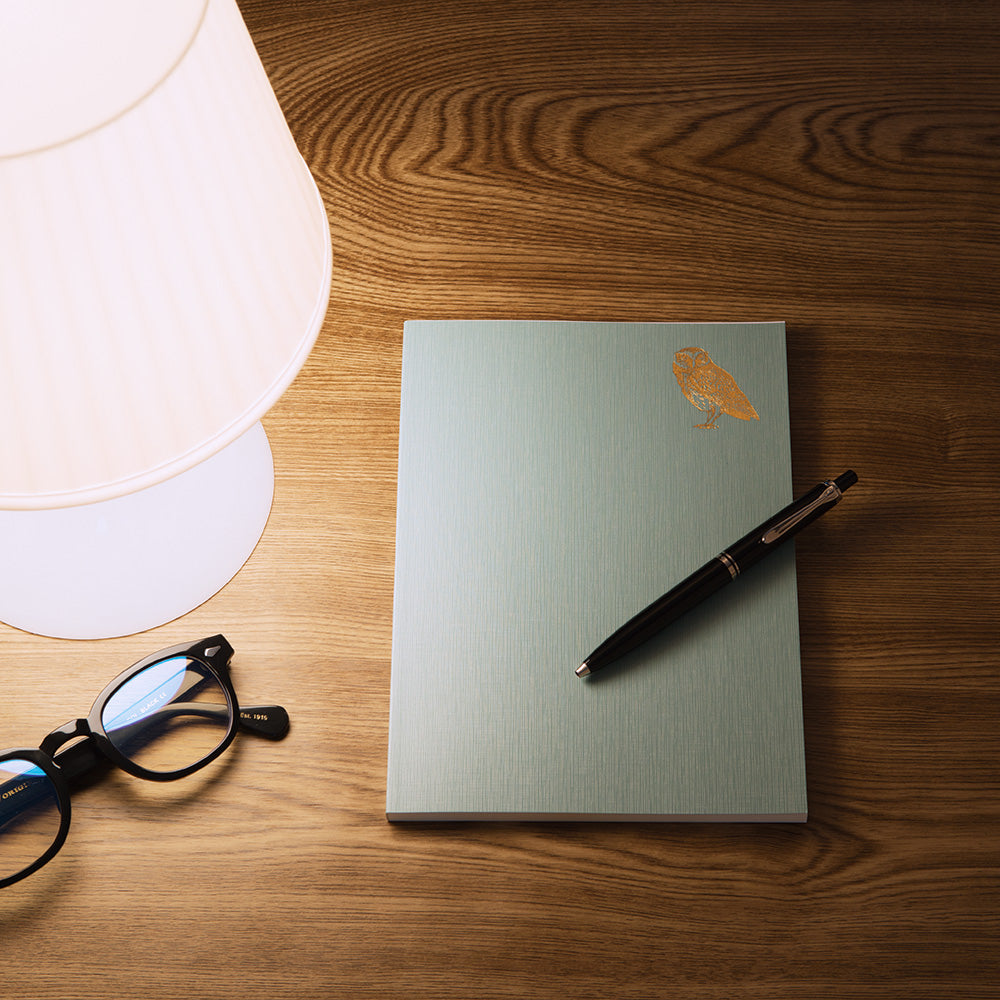 Diary Night Time A