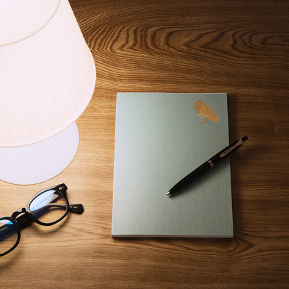 Diary Night Time A